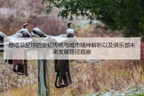 赫塔菲足球的坚韧传统与城市精神解析以及俱乐部未来发展路径观察