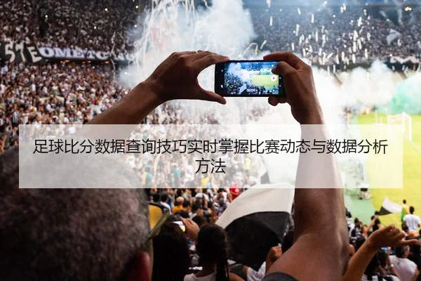 足球比分数据查询技巧实时掌握比赛动态与数据分析方法
