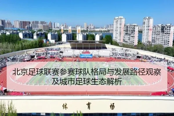 北京足球联赛参赛球队格局与发展路径观察及城市足球生态解析